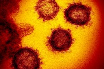 Why the coronavirus is a minefield of ethical questions