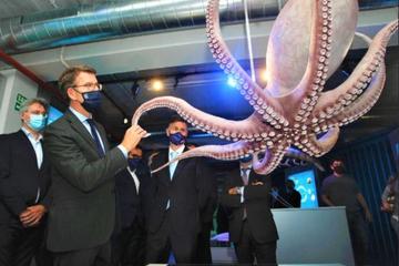 World's first octopus farm raises serious ethics debate