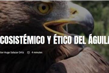 Ecosystemic and ethical value of the golden eagle