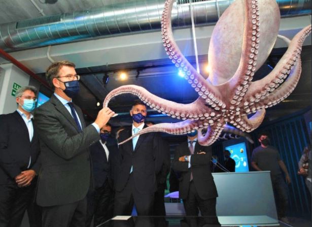 World's first octopus farm raises serious ethics debate